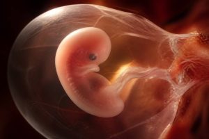 3 semaine de grossesse : photo, à quoi ressemble votre bébé à ce stade ?